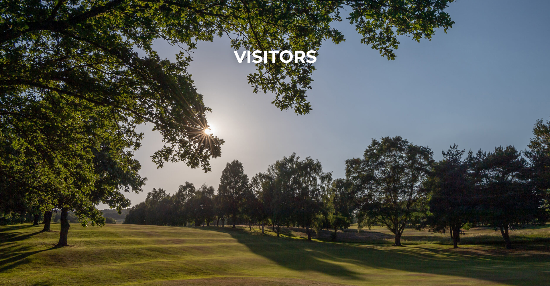 Visitors Image